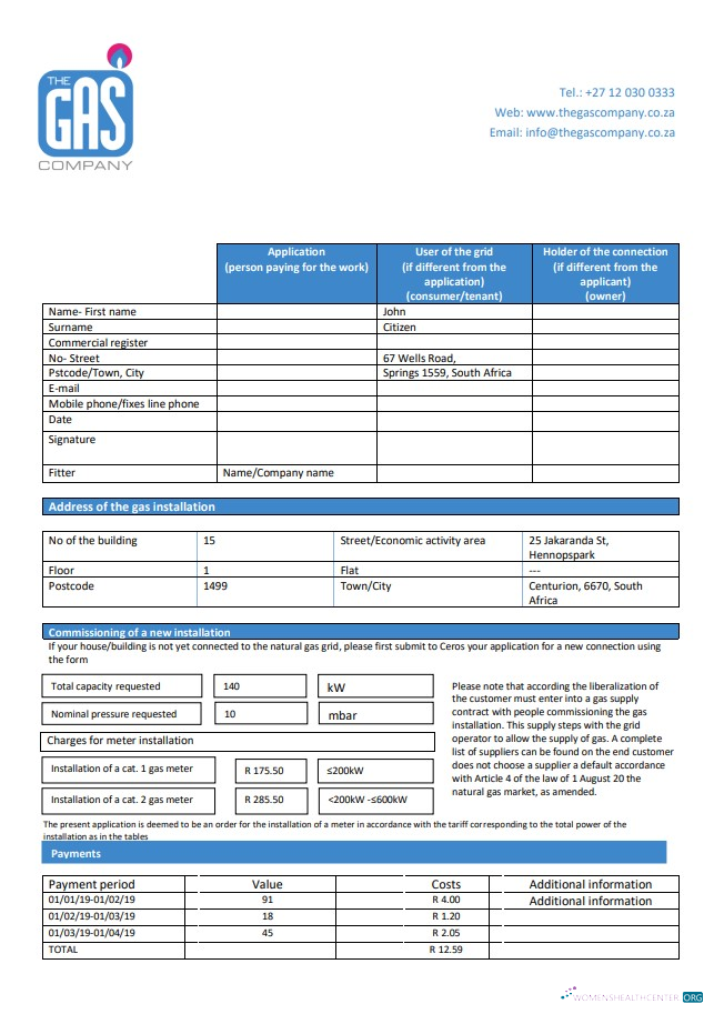download South Africa The GAS Company gas utility bill template in Word and PDF format PDF template